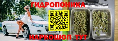 шишки Апрелевка