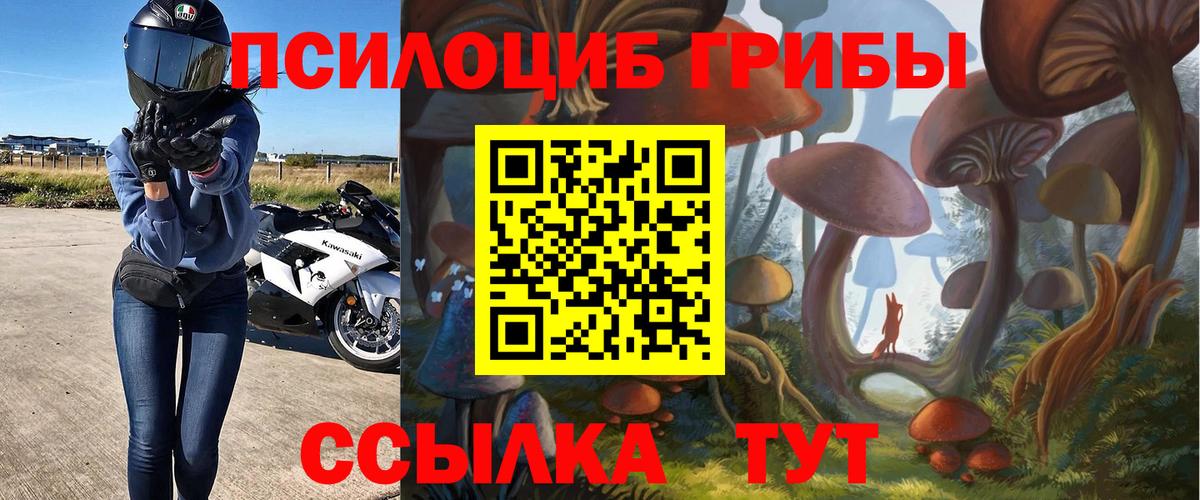 Балахна  Галлюциногенные грибы Psilocybe  Вход с VPN 